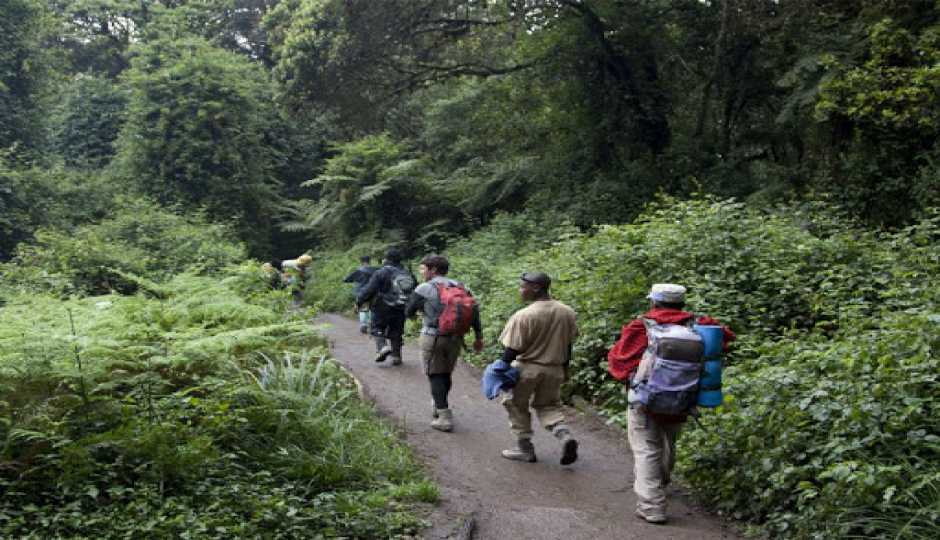 Mount Kilimanjaro Day Trip