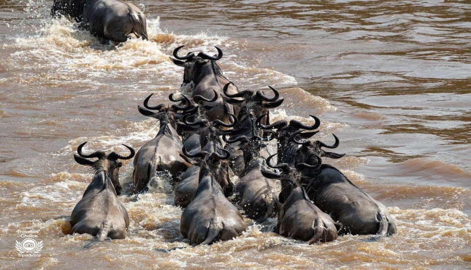 Slides Images for 3days Serengeti And Ngorongoro 