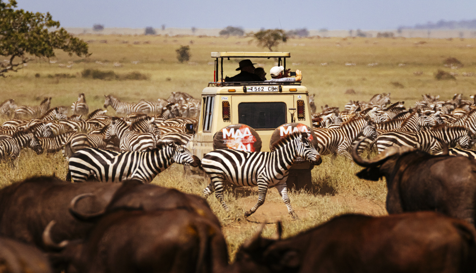 Slides Images for Tanzania Safari Package