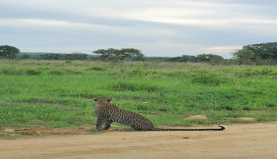 Slides Images for Safari To Mikumi National Park