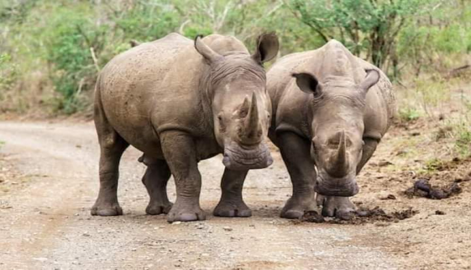 Slides Images for Majestic Kenya 6 Days In Samburu, Nakuru & Masai 