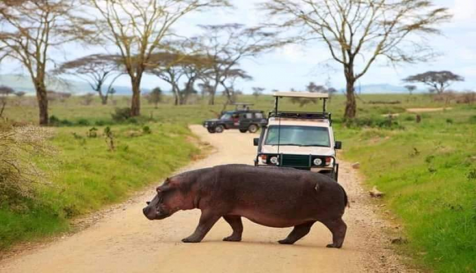 Slides Images for 3 Days Safari To Selous Game Reserve