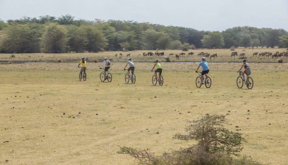 1 Day Bike Tour Lake Manyara Cycling