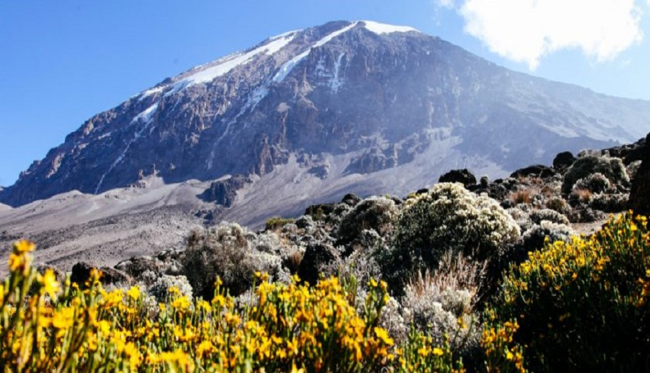 Best 8 Days Kilimanjaro - Lemosho Route