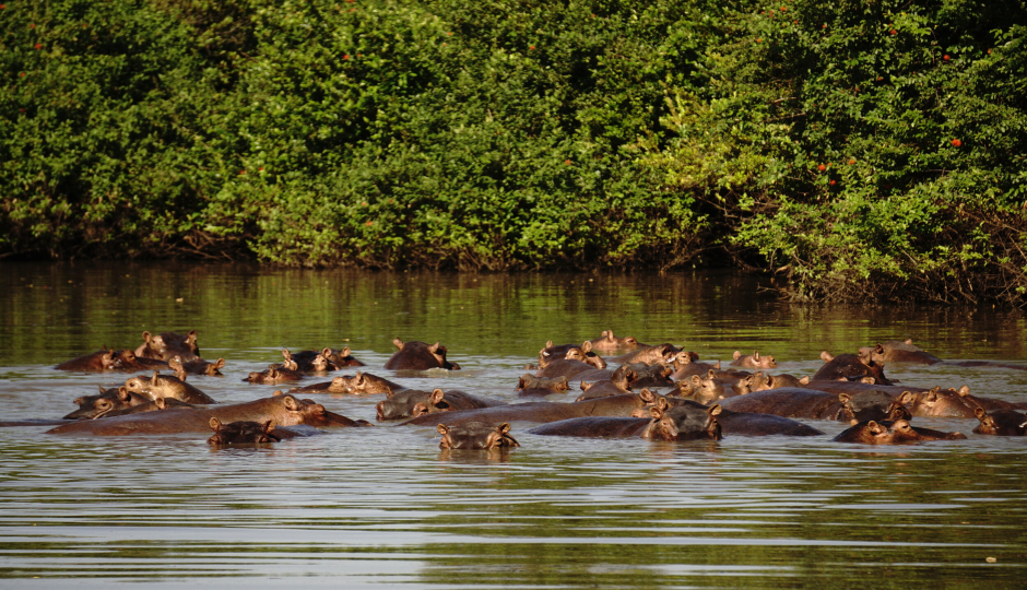 Slides Images for 3 Days 2 Nights Southern Tanzania Safari