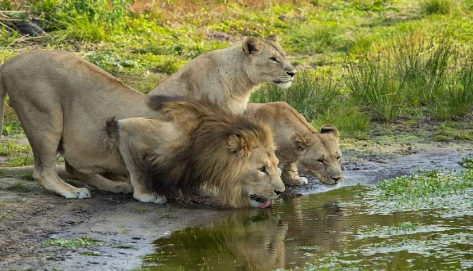 Slides Images for Explore Masai Mara, Nakuru & Aberdares In 5 Days