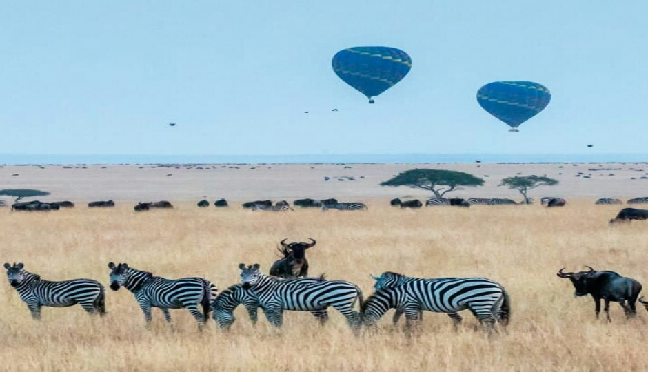 7-days Serengeti Wildebeests Migration