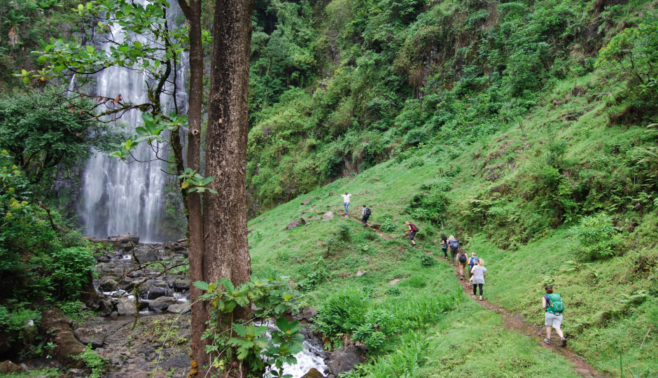 Materuni waterfalls day trip