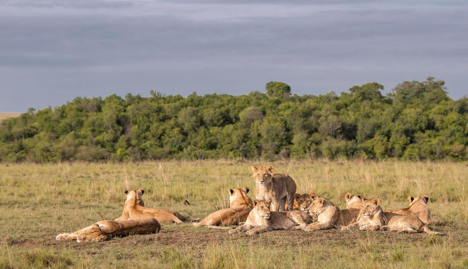 Slides Images for 3 Days Masai Mara Safari