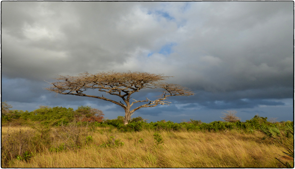 3 Days Tanzania Private Safari Serengeti