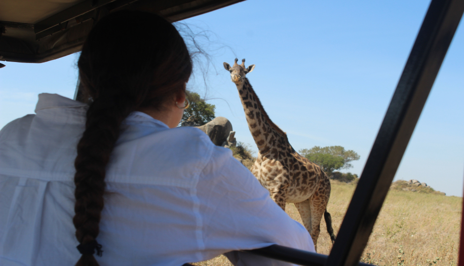 The Highlight Of Tanzania Safari 