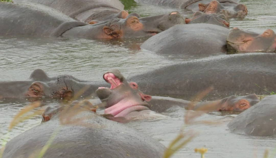 Slides Images for 3 Days Manyara And Ngorongoro Experience