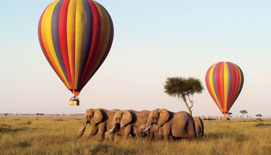 Slides Images for Kenya's Best  6-day Safari Samburu To Masai Mara