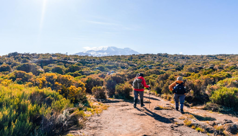 Northern Circuit Route 8-day Trek10-day 