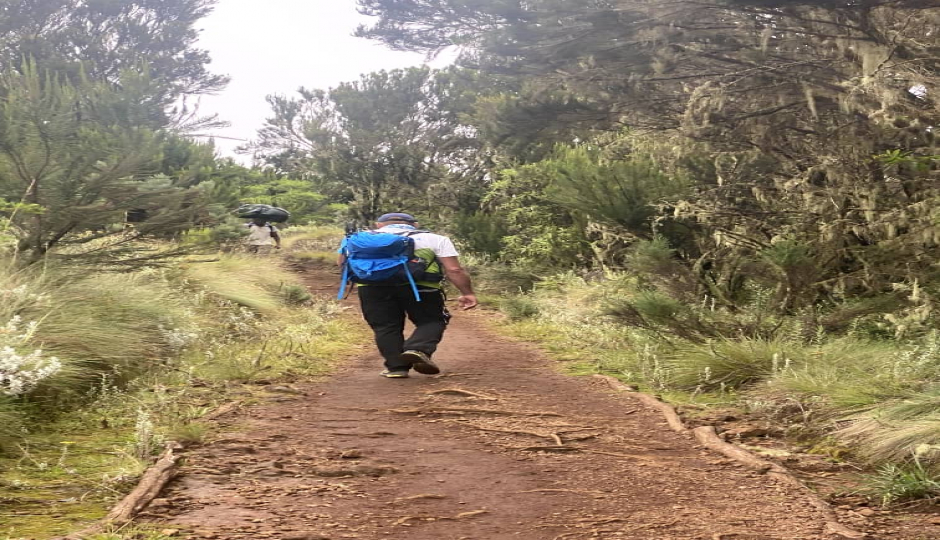 Slides Images for 5-day Kilimanjaro Mountain Trekking-marangu Route