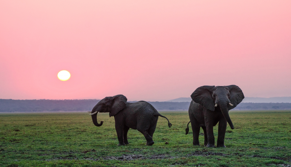 Best 6 Days Serengeti Safari In Tanzania