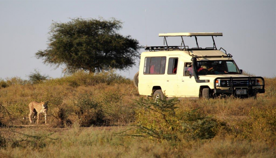 Slides Images for 4 Days Tanzania Private Safari