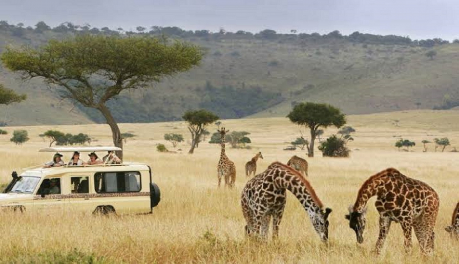 Ruaha Adventure Tour