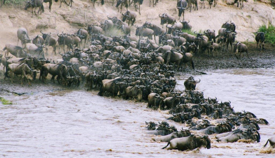 4 Days Tanzania Private Safari