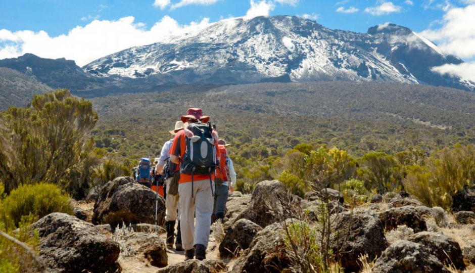 Day Trip To Hike Mountain Kilimanjaro