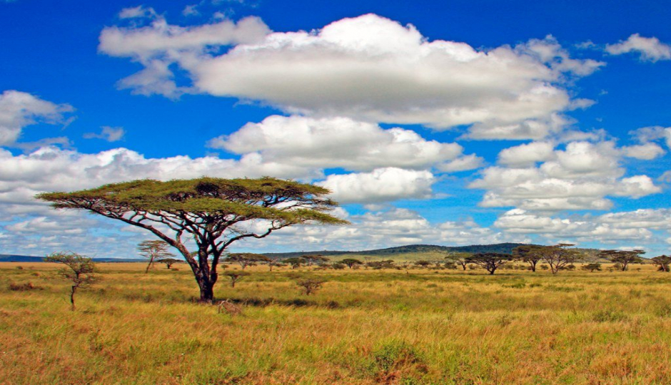 9days Kenya & Tanzania Family Safari