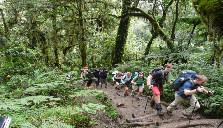 Slides Images for 6 Days Machame Route New Year Trekking 