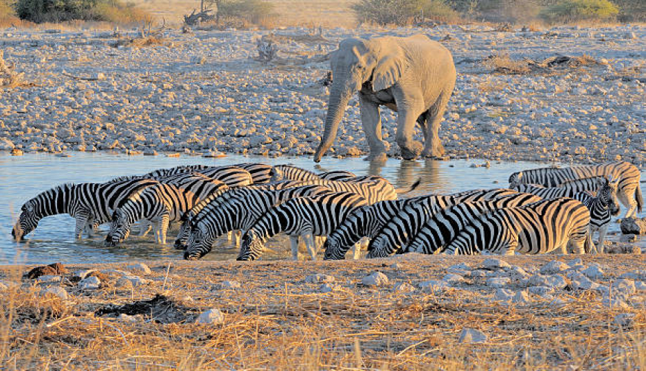 Slides Images for Aventura En Tarangire Y Ngorongoro