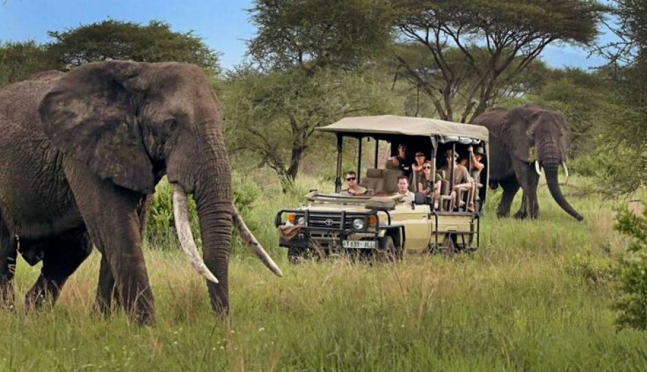 1 Day Safari To Tarangire