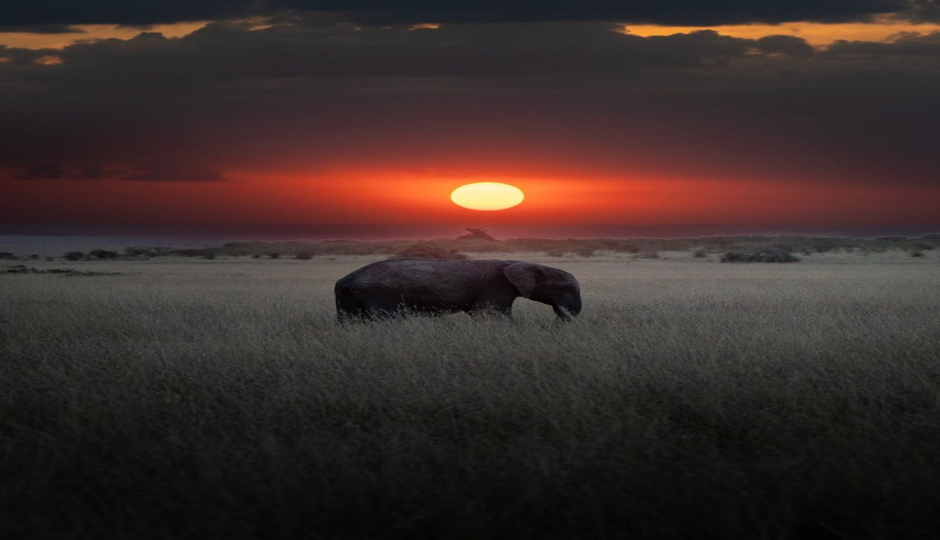 Slides Images for 3 Days 2 Night Maasai Mara Safari