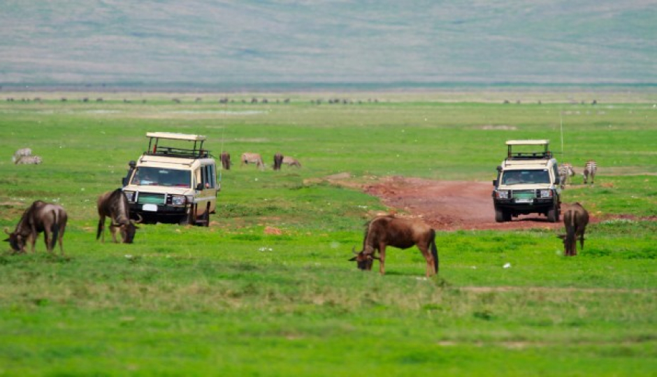 Slides Images for Tanzania Budget Group Joinng Safari Tour Package