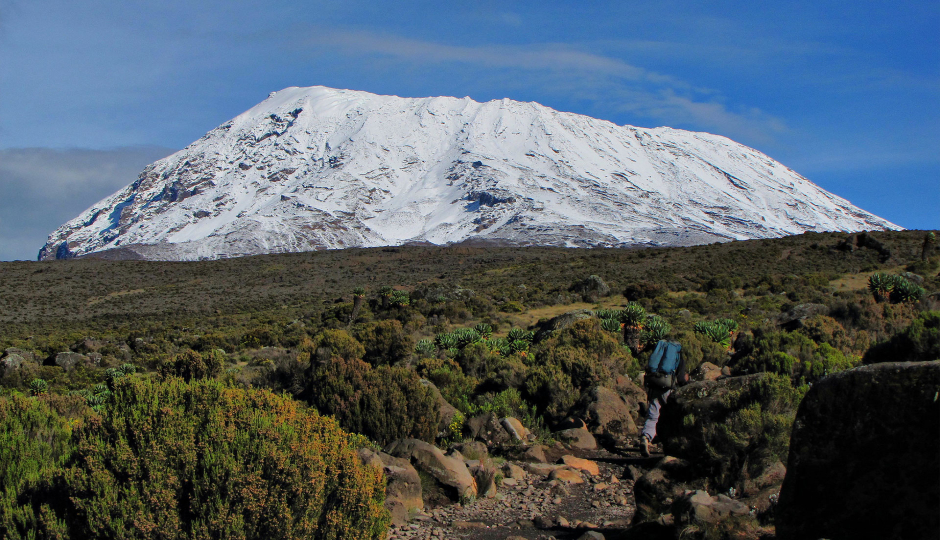 Mount Kilimanjaro day trip