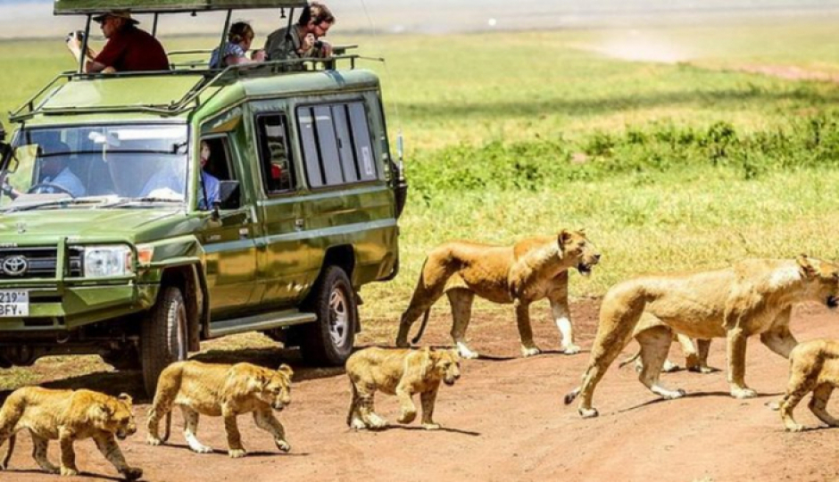 Ngorongoro Crater  Day Trip