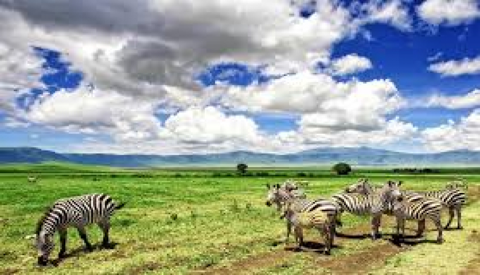 Slides Images for 2 Day Safari To Ngorongoro