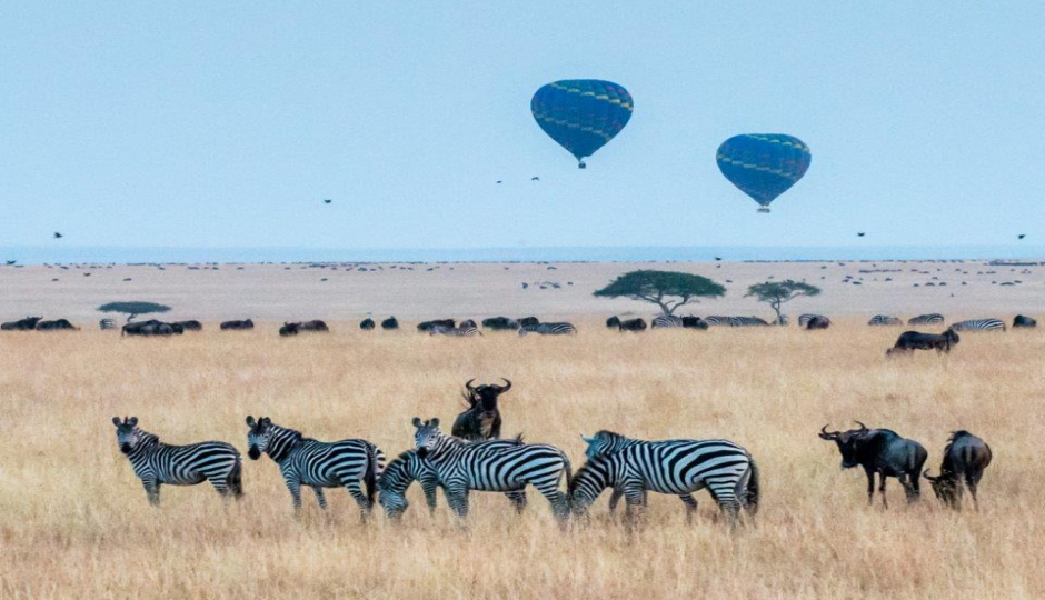 4 Days Tanzania Luxury Safari