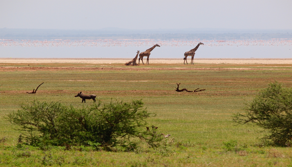 2 Days Safari Tour