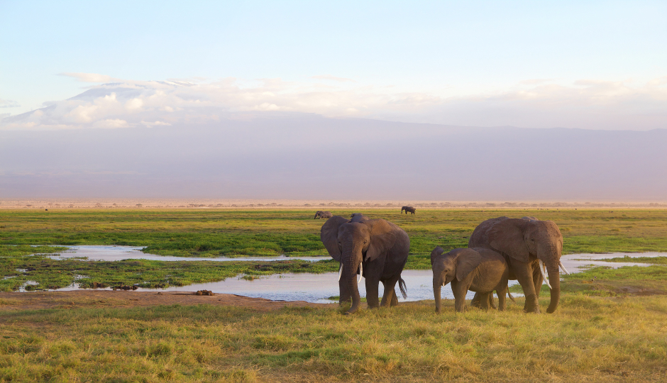 2 Days Tanzania Luxury Safari Tarangire