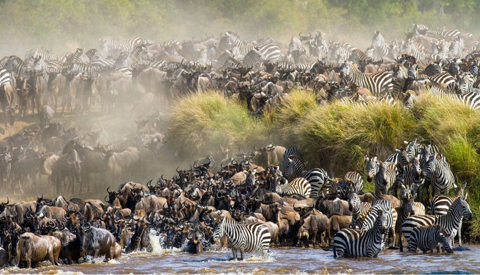 6 Days Wildebeest Migration Safari