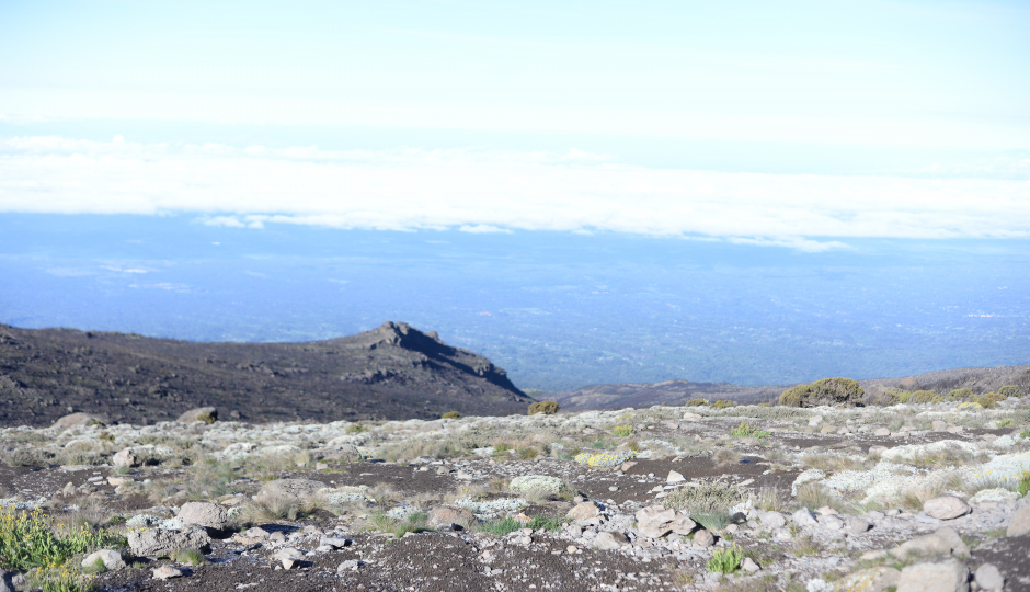 6day Climb Kilimanjaro Via Marangu 