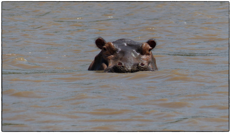 Slides Images for 3 Days Tanzania Private Safari Serengeti