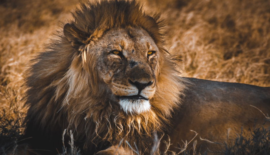 Slides Images for 3 Days Safari, Serengeti And Ngorongoro
