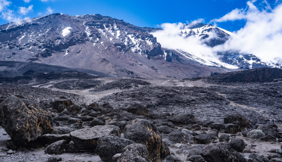 Northern Circuit Route Kilimanjaro Climbing Tour