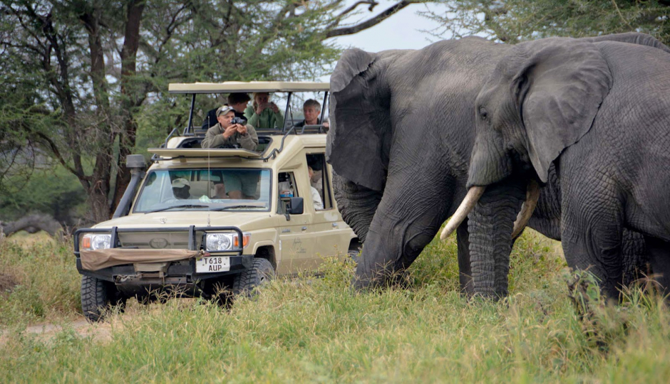  4 Days Tanzania Lodge Safari