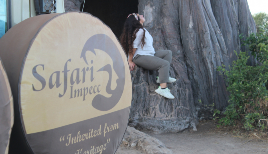 Safari Impecc Limited