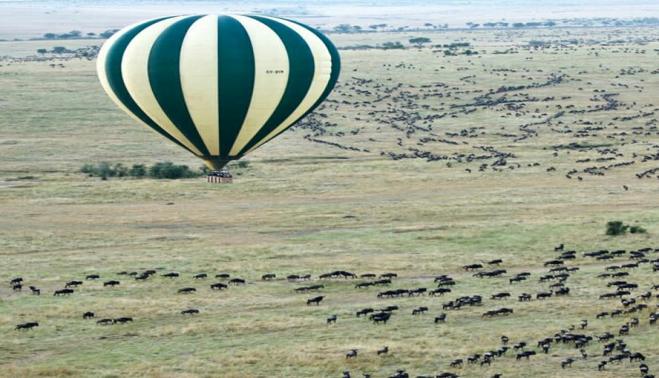 6-days Serengeti Migration Safari 