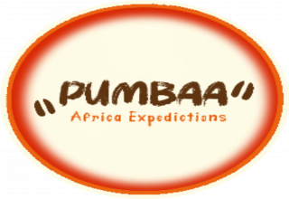 Logo image - Pumbaa Africa Expeditions