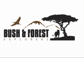 Logo image - Bush And Forest Explorers