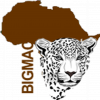 Logo Image - Bigmac Africa Safaris