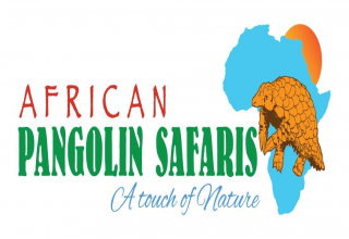 Logo Image - African Pangolin Safaris 