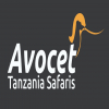 Logo Image - Avocet Tanzania Safaris