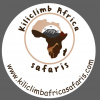 Logo Image - Kiliclimb Africa Safaris